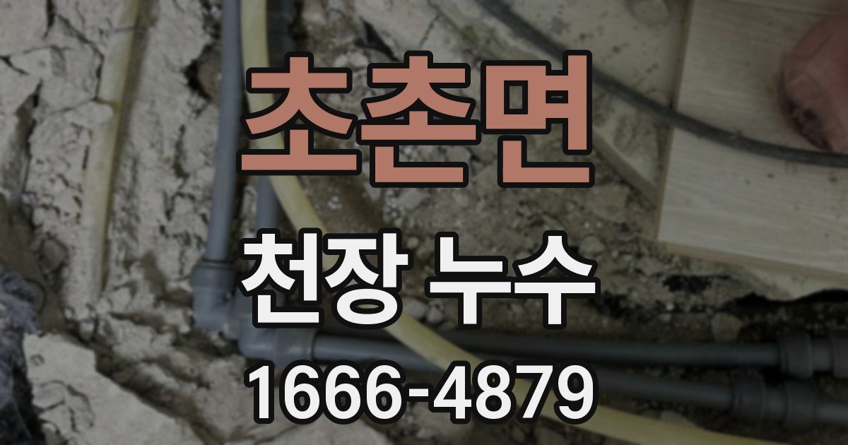 초촌면 천장 누수