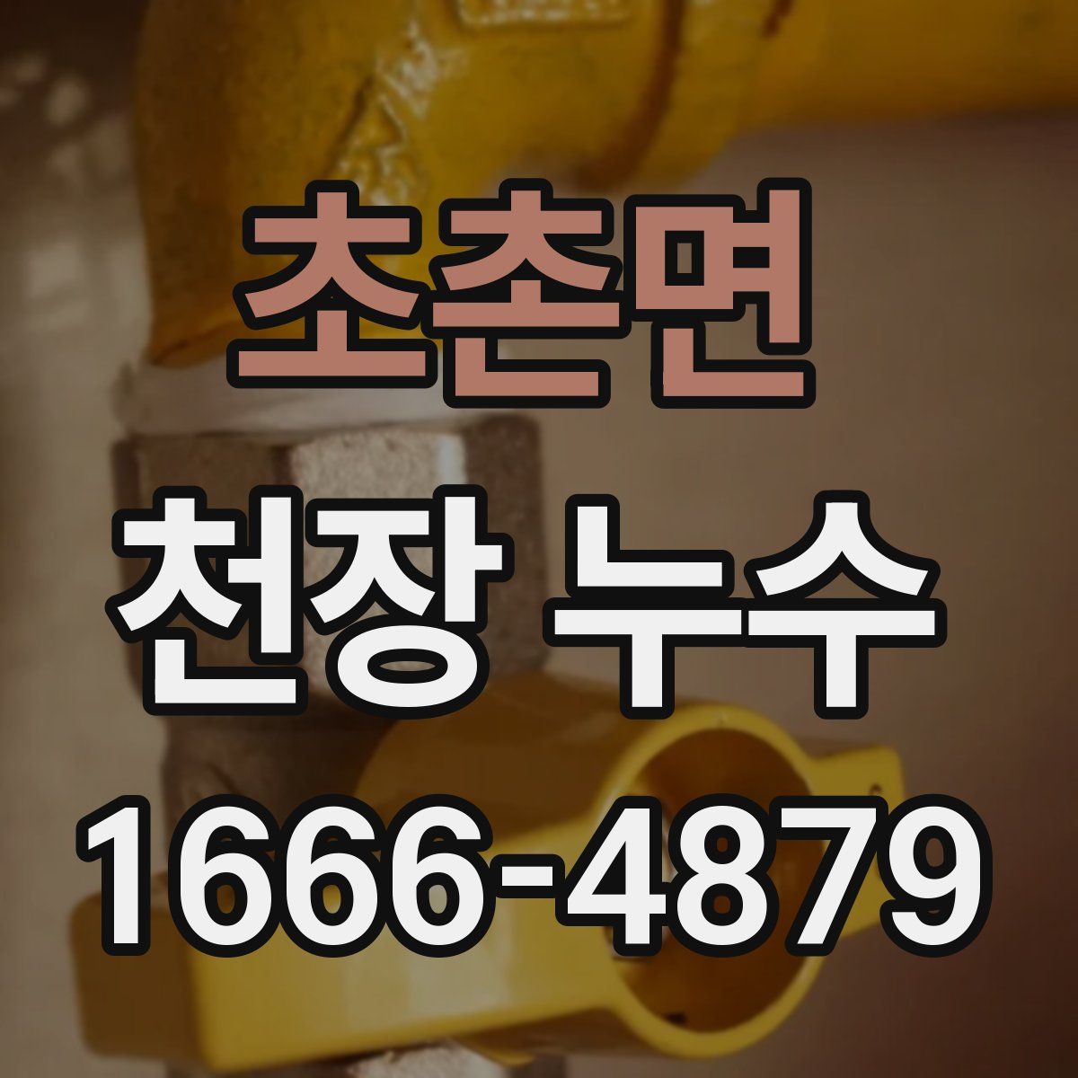 초촌면 천장 누수