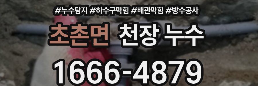 초촌면 천장 누수