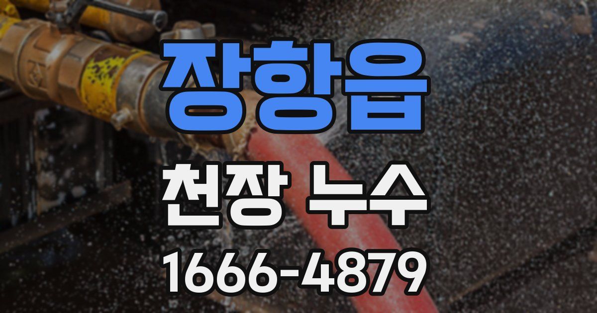장항읍 천장 누수