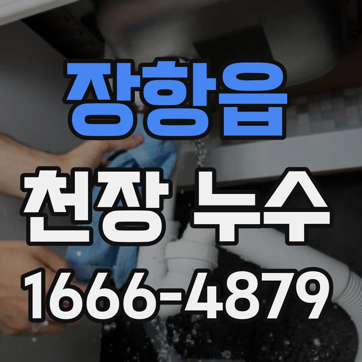 장항읍 천장 누수