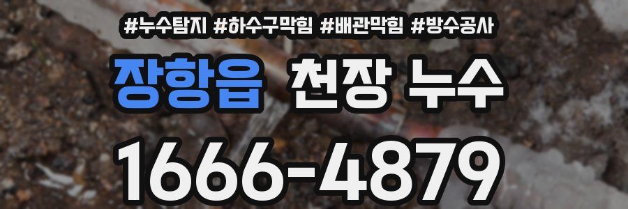 장항읍 천장 누수