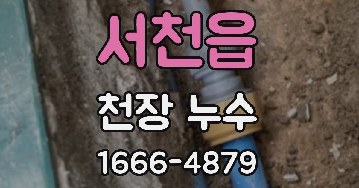 서천읍 천장 누수