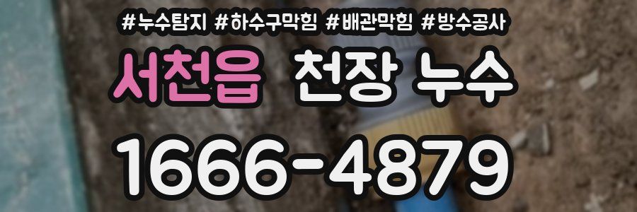 서천읍 천장 누수
