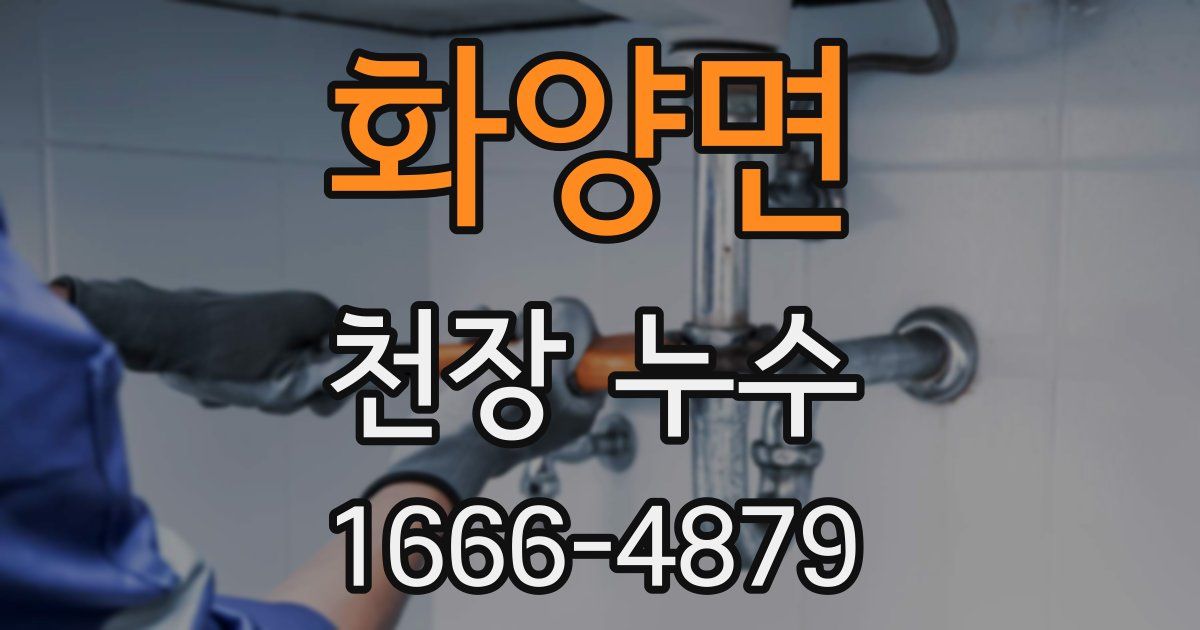 화양면 천장 누수