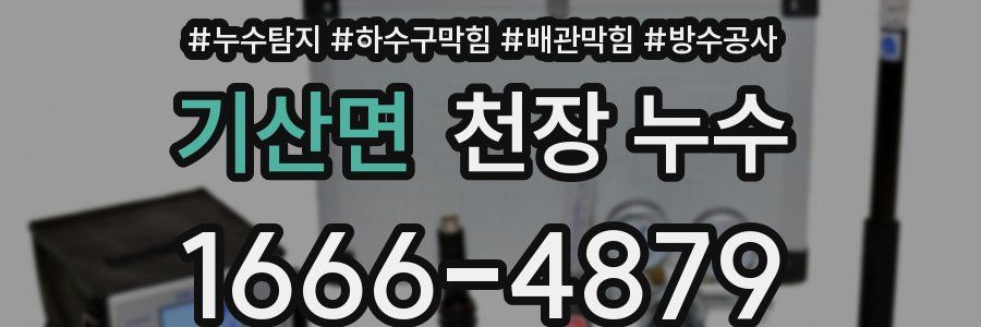 기산면 천장 누수