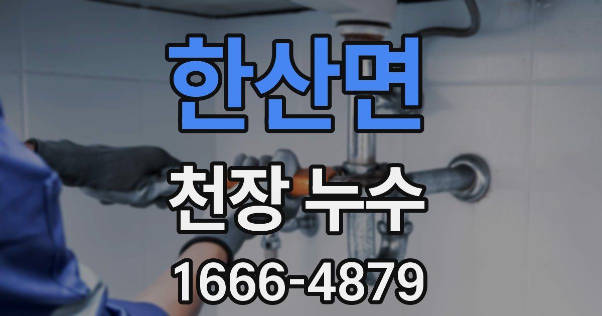 한산면 천장 누수