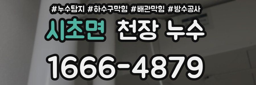 시초면 천장 누수