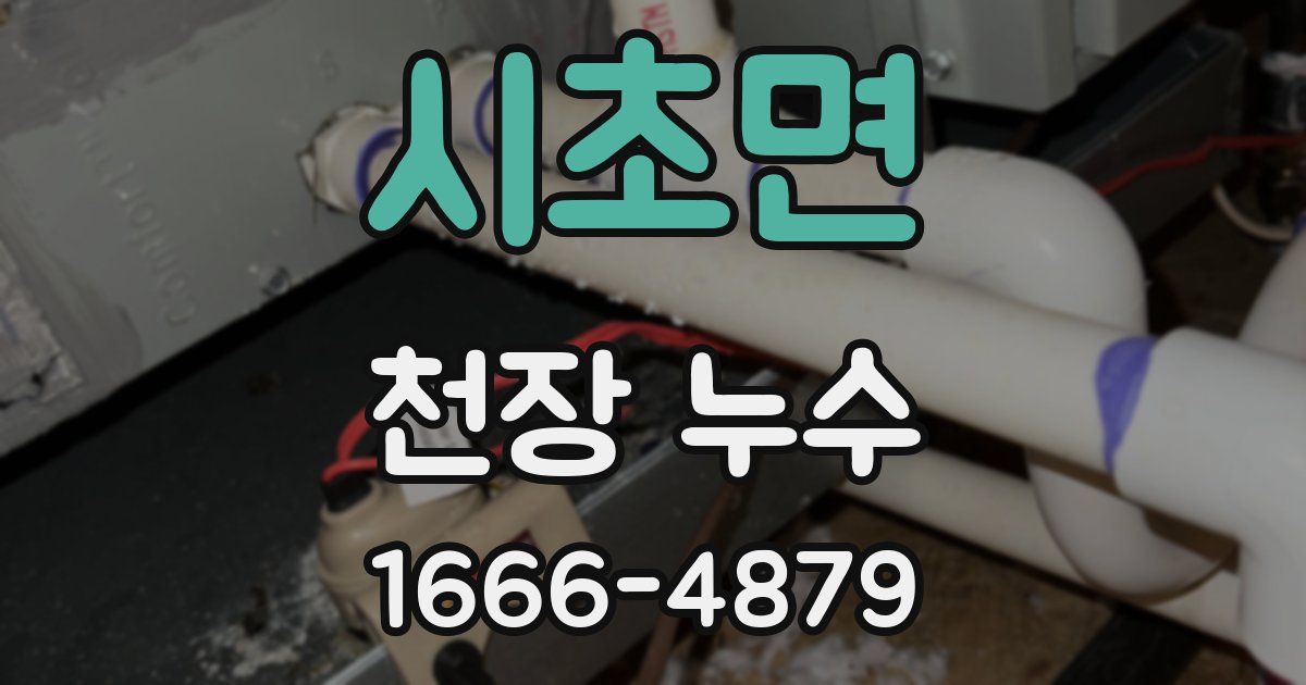 시초면 천장 누수