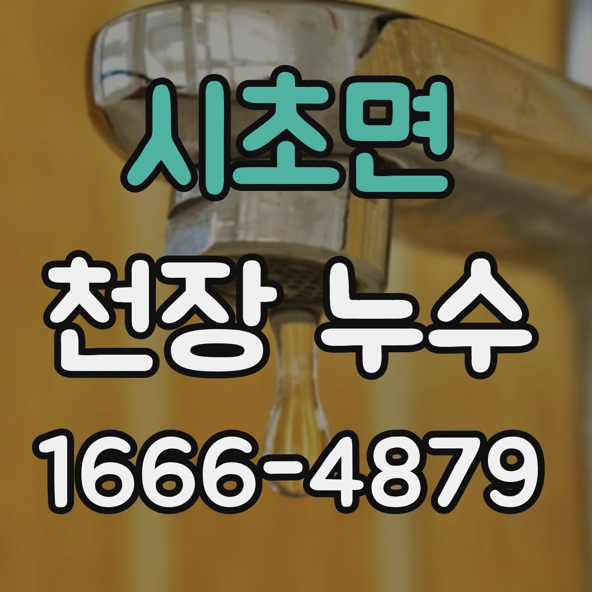 시초면 천장 누수