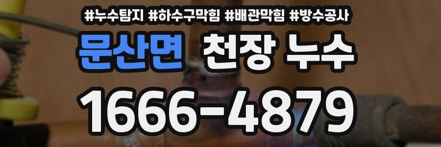 문산면 천장 누수