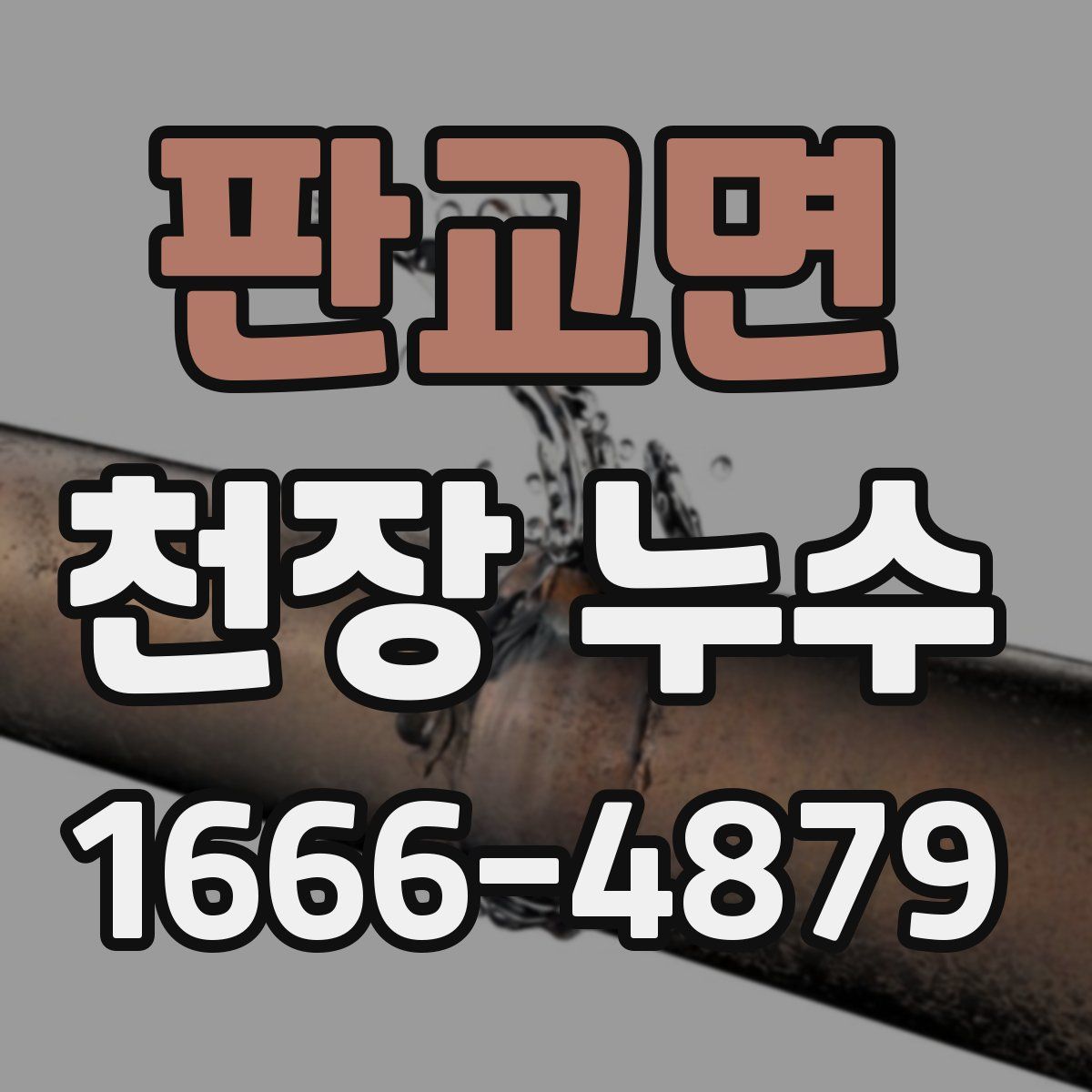 판교면 천장 누수