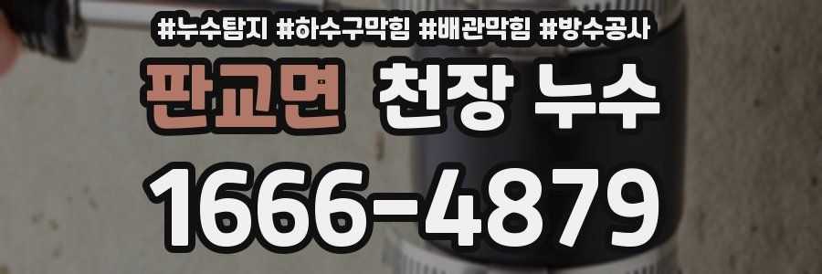 판교면 천장 누수