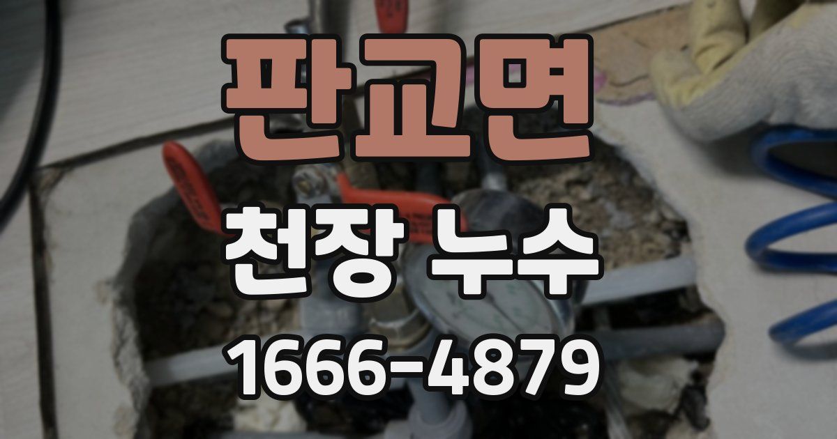 판교면 천장 누수
