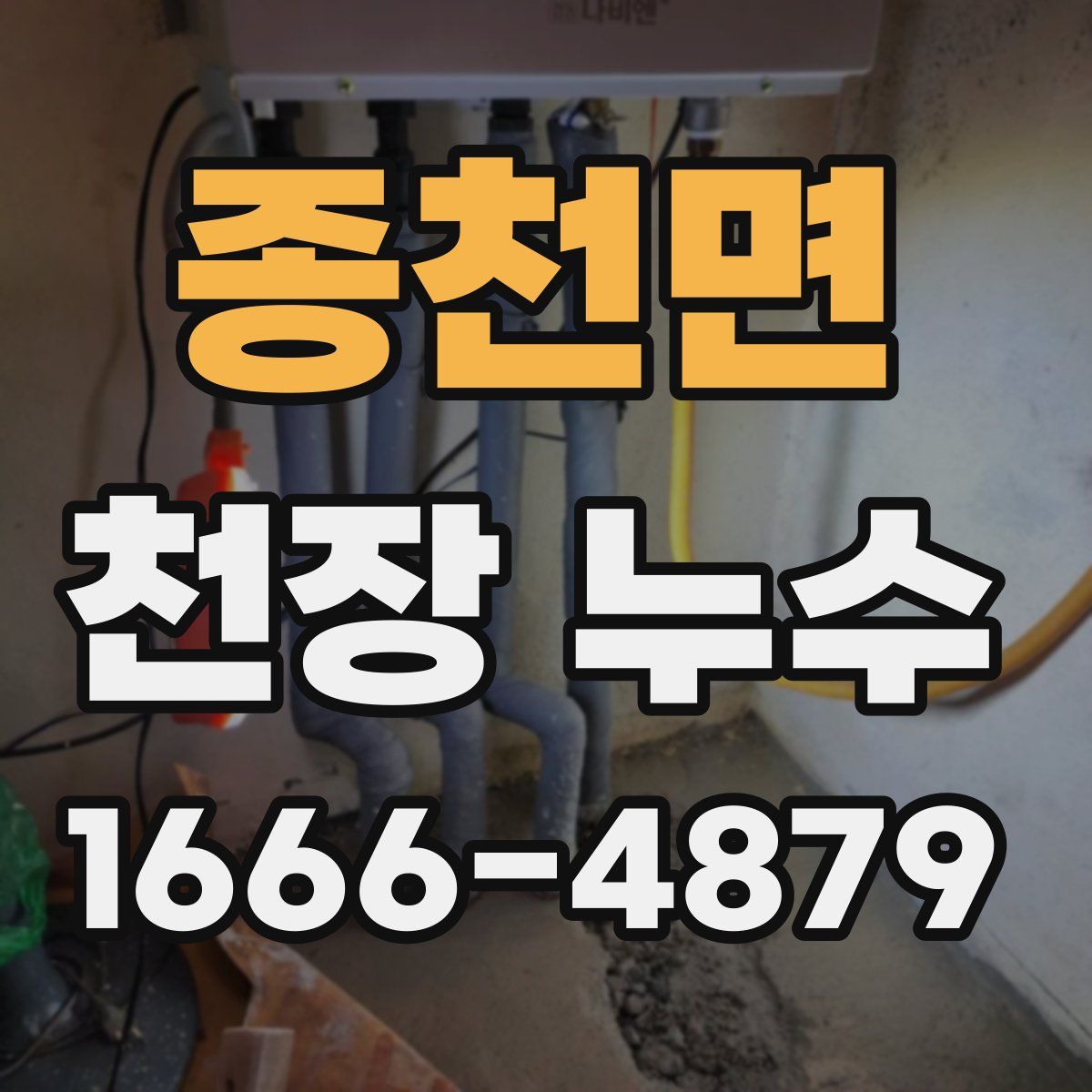 종천면 천장 누수