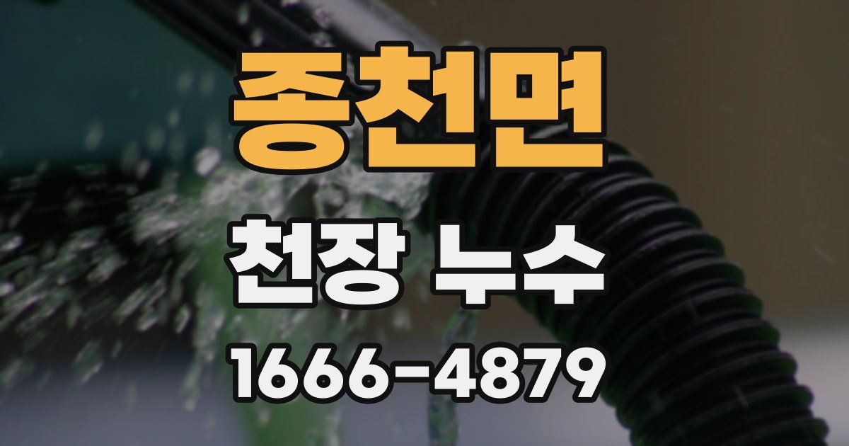 종천면 천장 누수