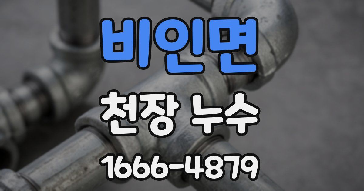 비인면 천장 누수