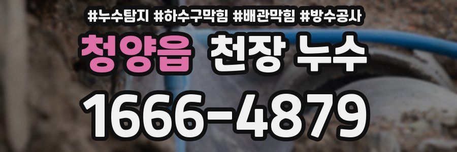 청양읍 천장 누수