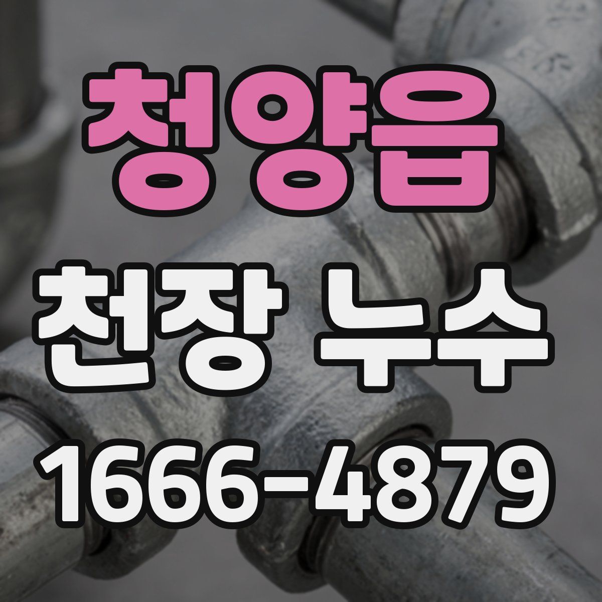 청양읍 천장 누수