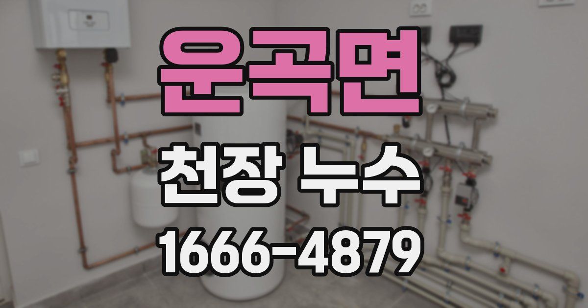 운곡면 천장 누수