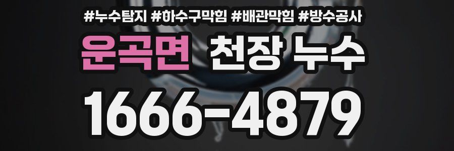 운곡면 천장 누수