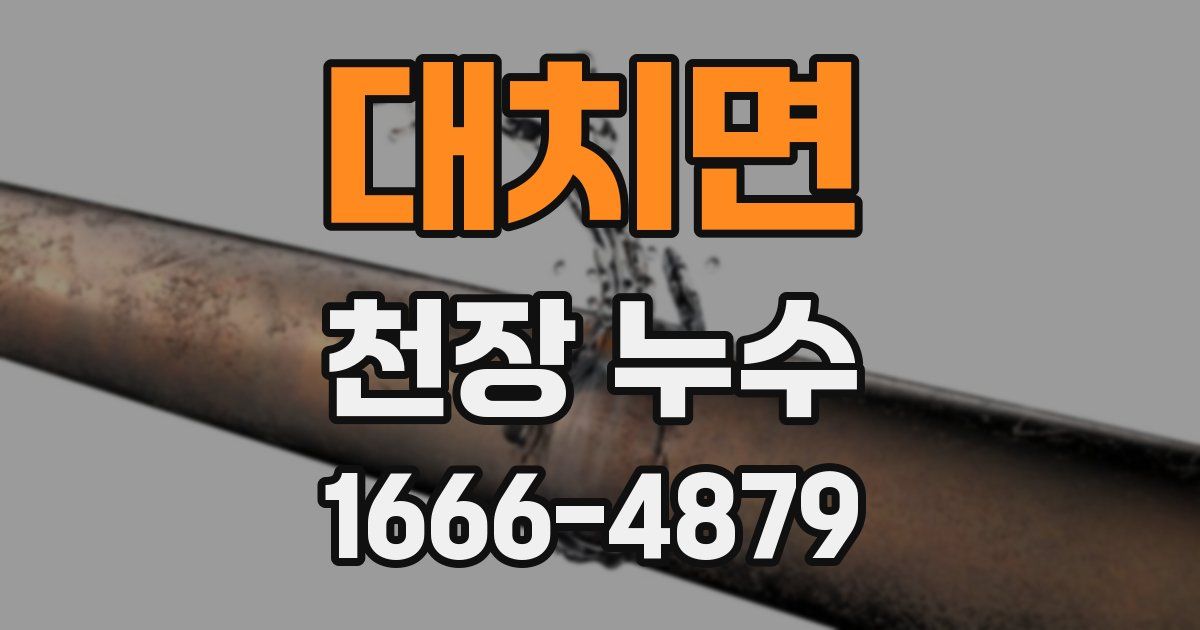 대치면 천장 누수