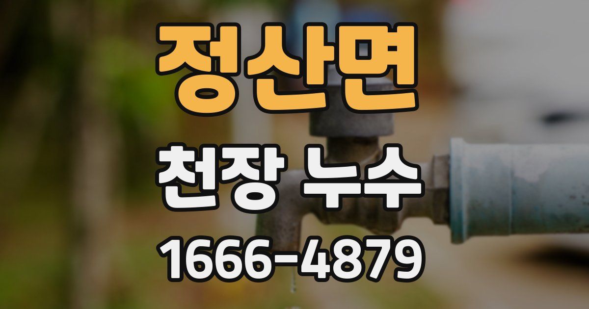 정산면 천장 누수