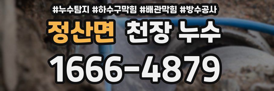 정산면 천장 누수