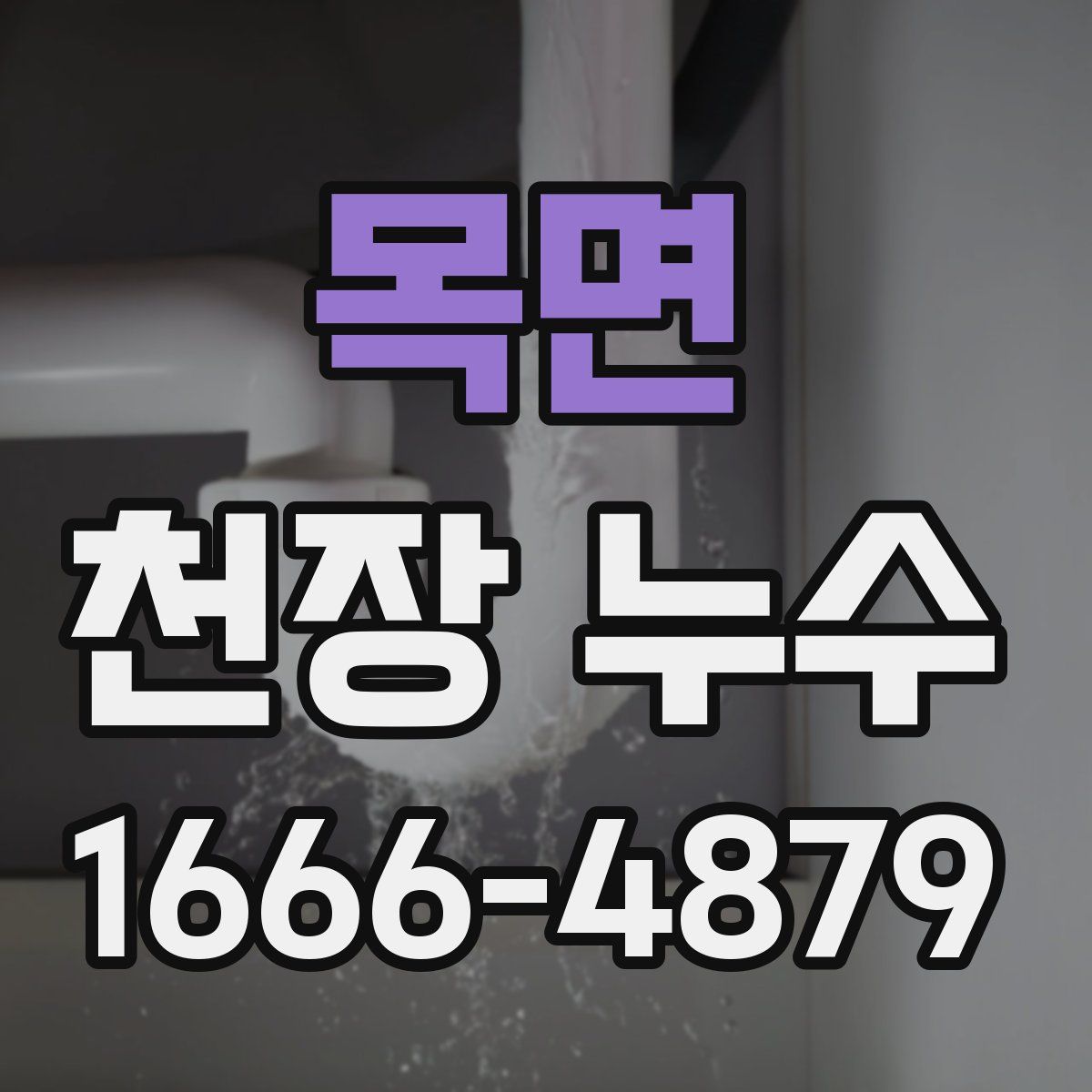 목면 천장 누수