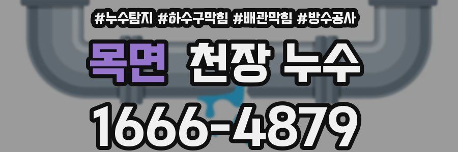 목면 천장 누수