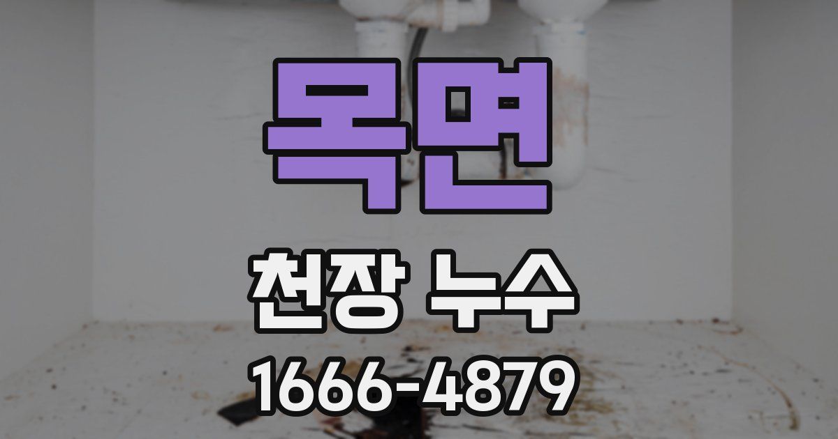 목면 천장 누수