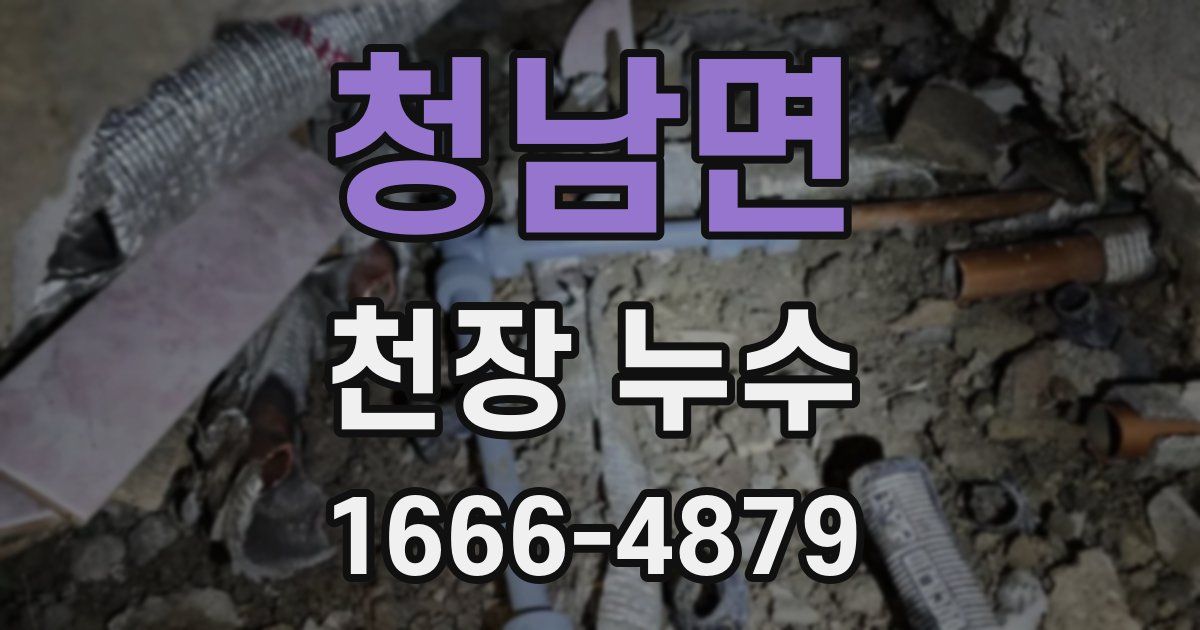 청남면 천장 누수