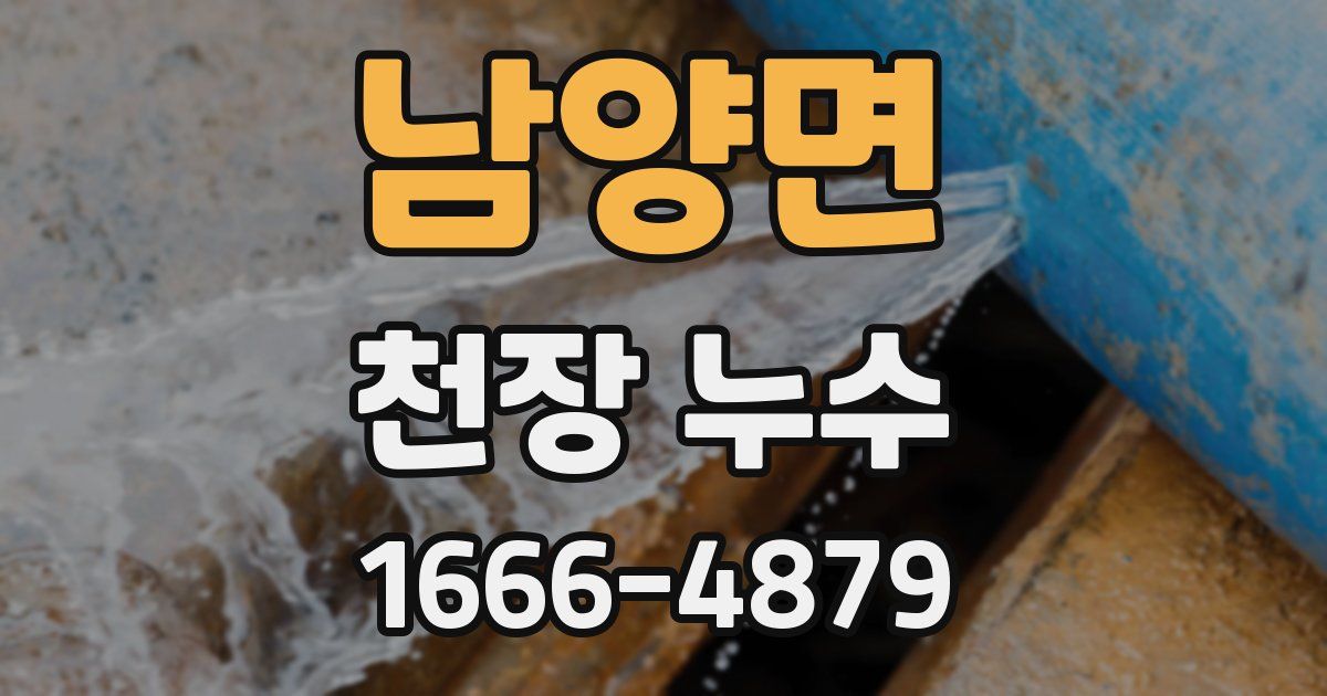 남양면 천장 누수