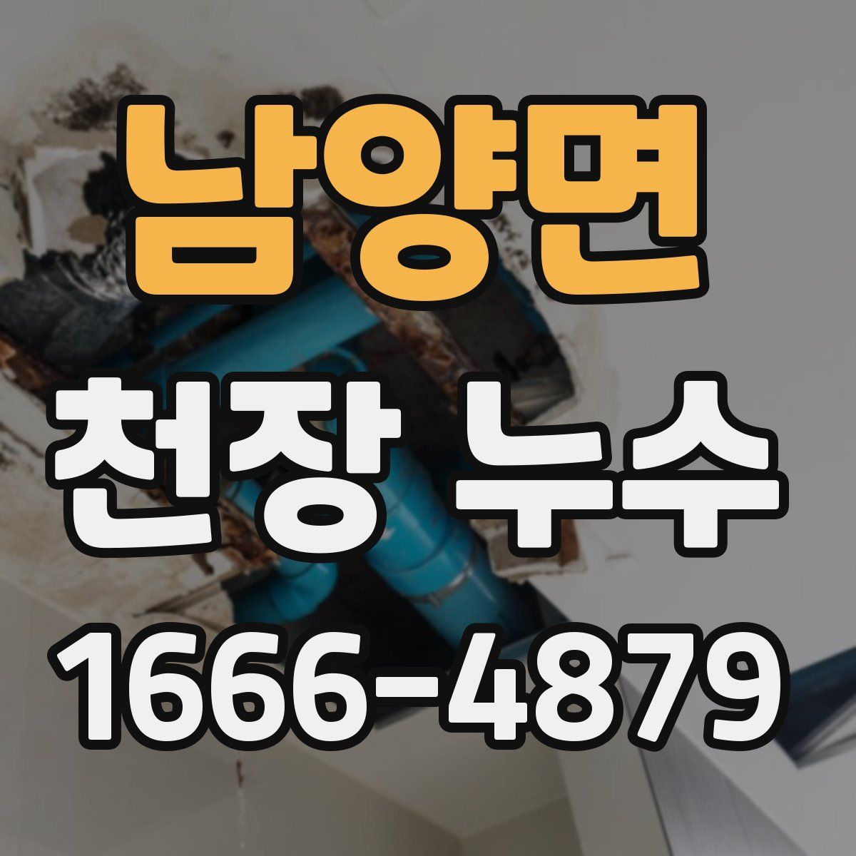 남양면 천장 누수