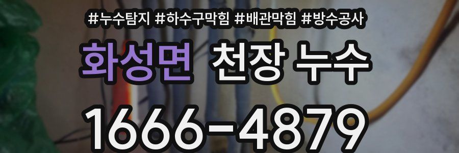 화성면 천장 누수