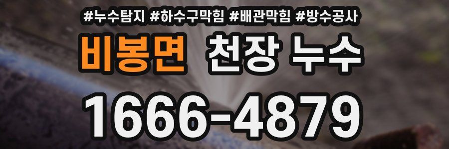 비봉면 천장 누수