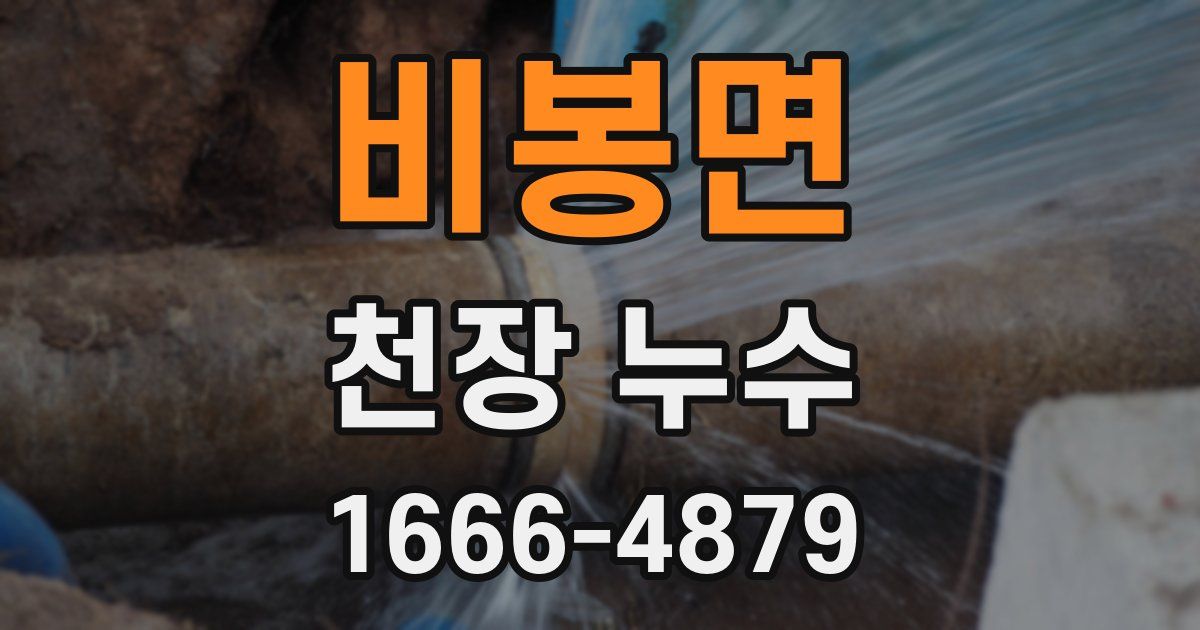 비봉면 천장 누수