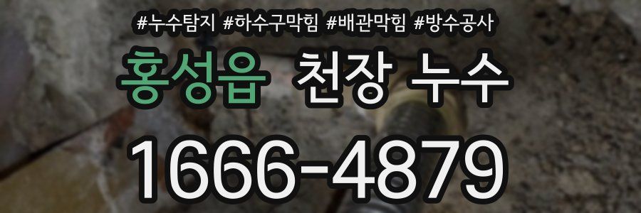 홍성읍 천장 누수
