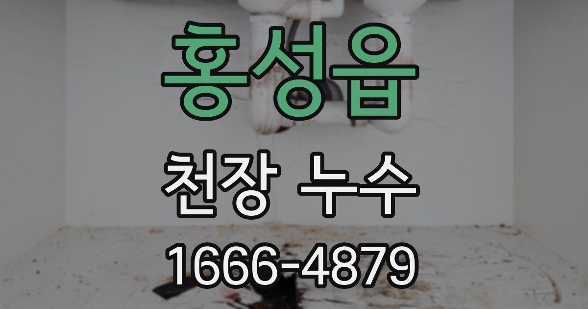 홍성읍 천장 누수