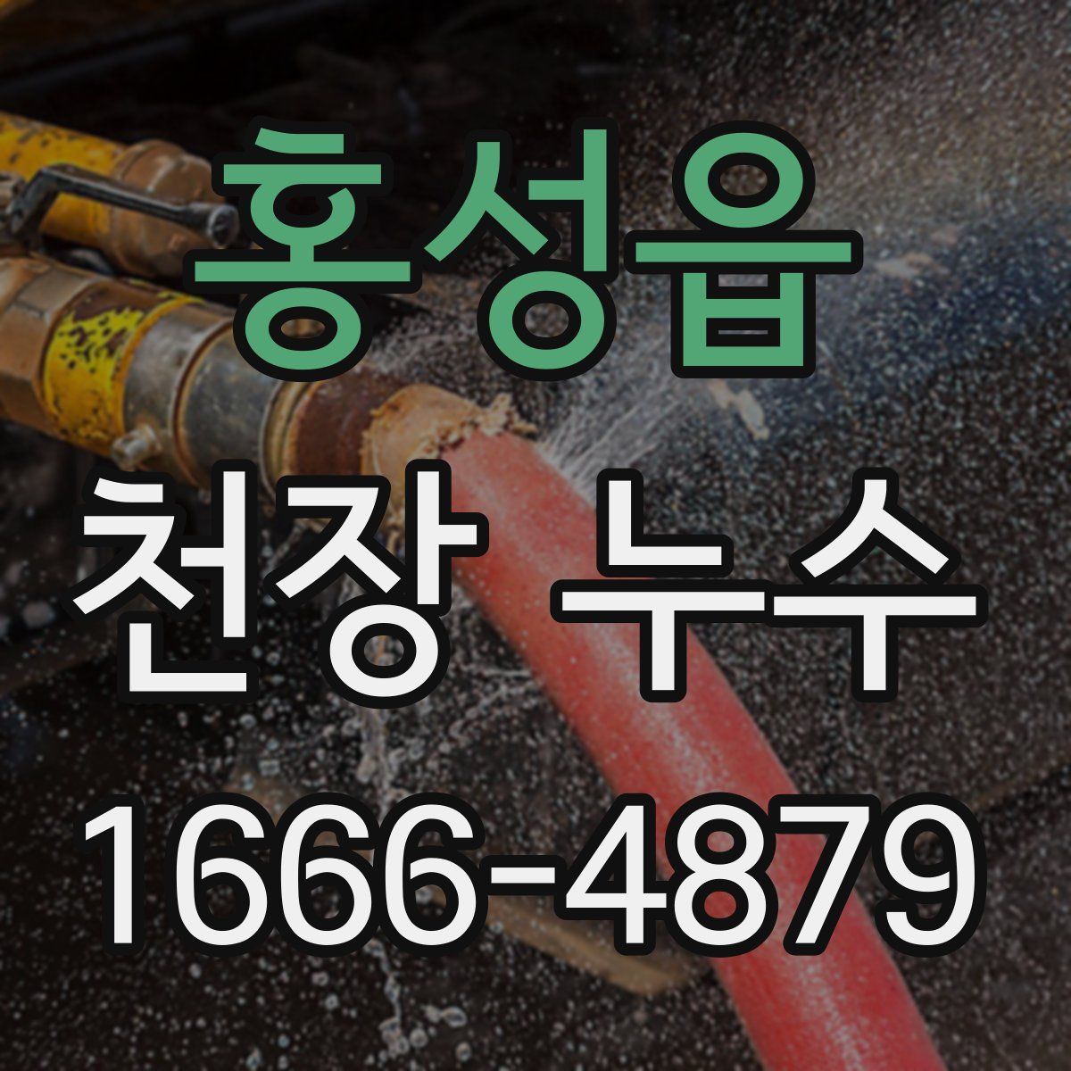 홍성읍 천장 누수