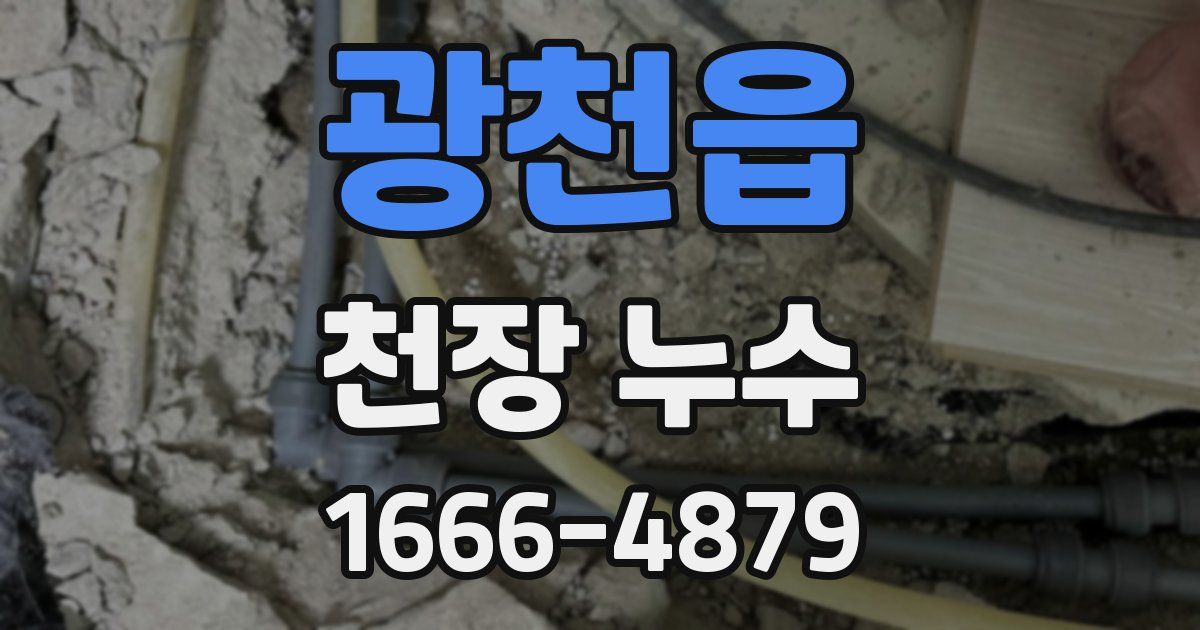 광천읍 천장 누수