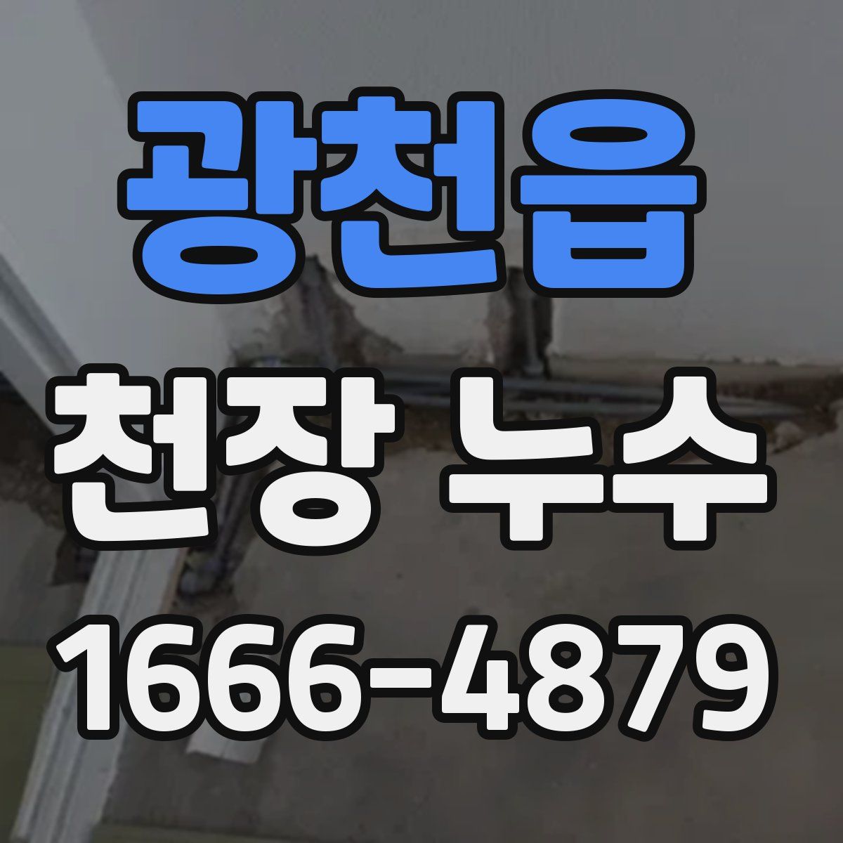 광천읍 천장 누수