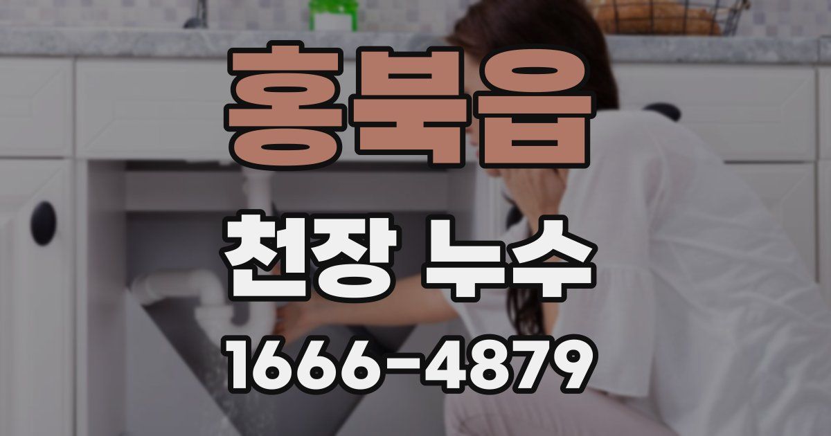 홍북읍 천장 누수