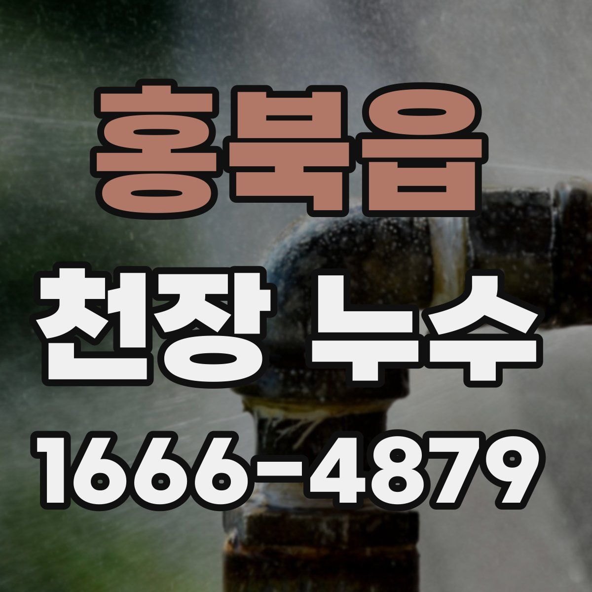 홍북읍 천장 누수