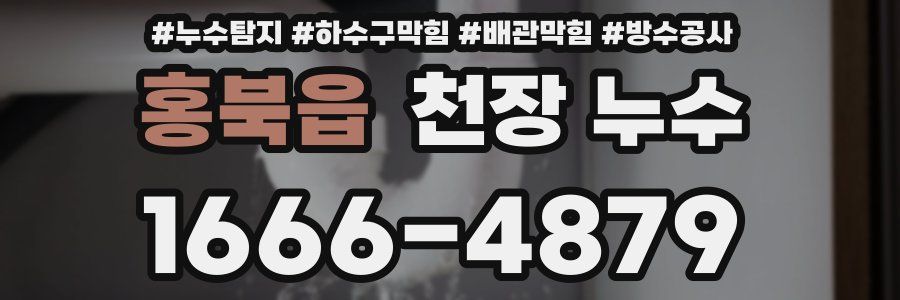 홍북읍 천장 누수