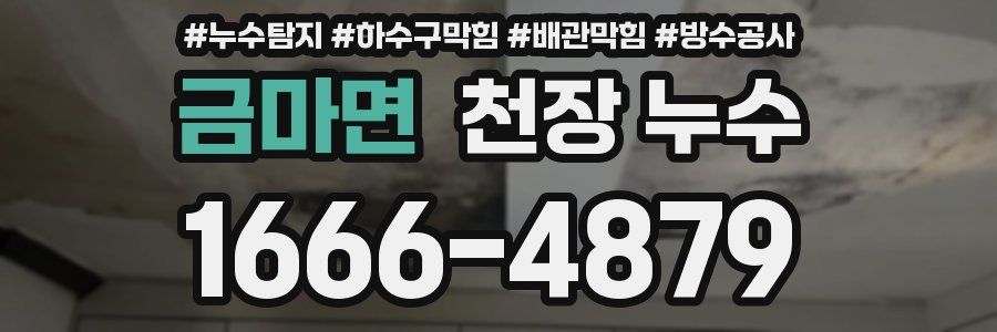 금마면 천장 누수