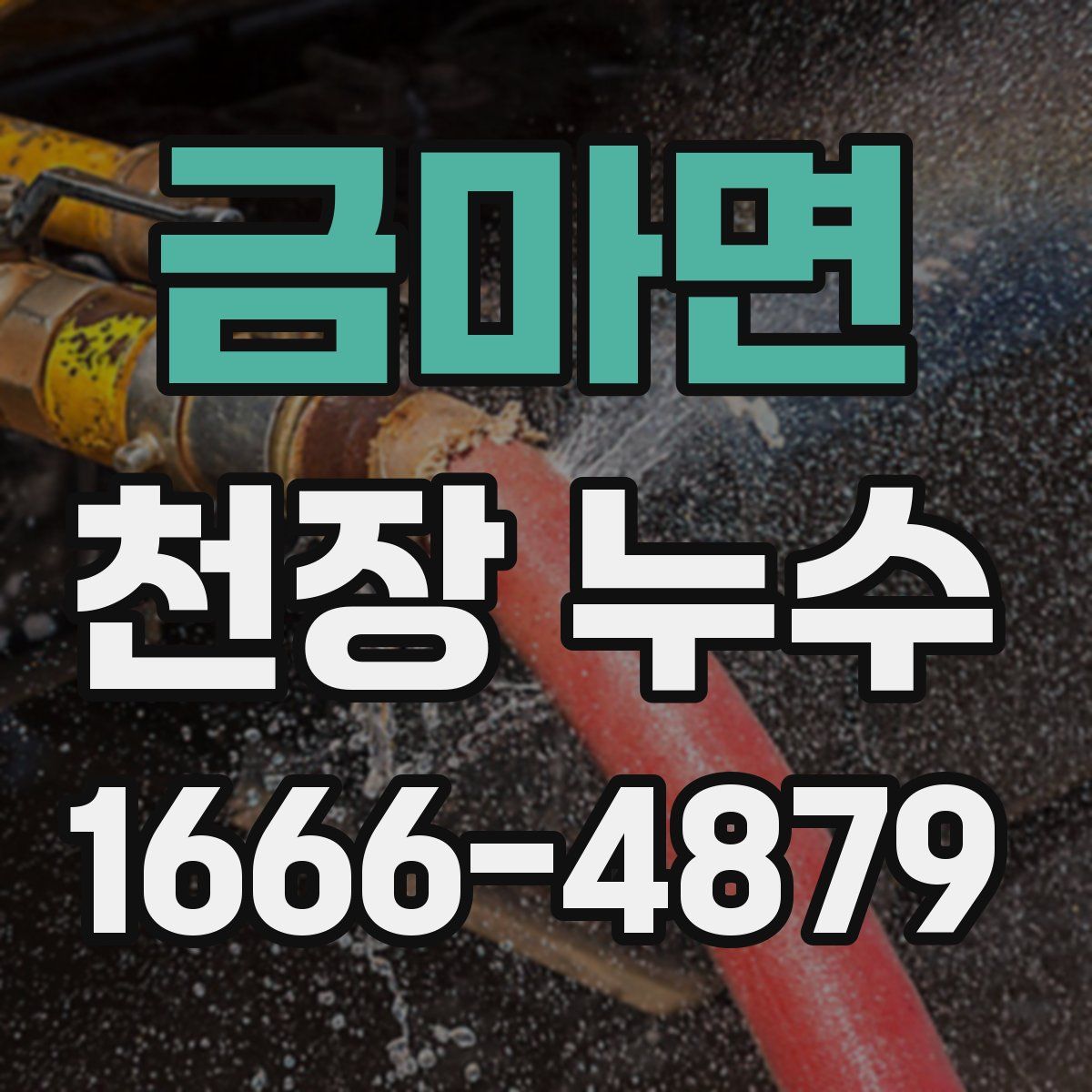 금마면 천장 누수