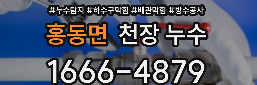 홍동면 천장 누수