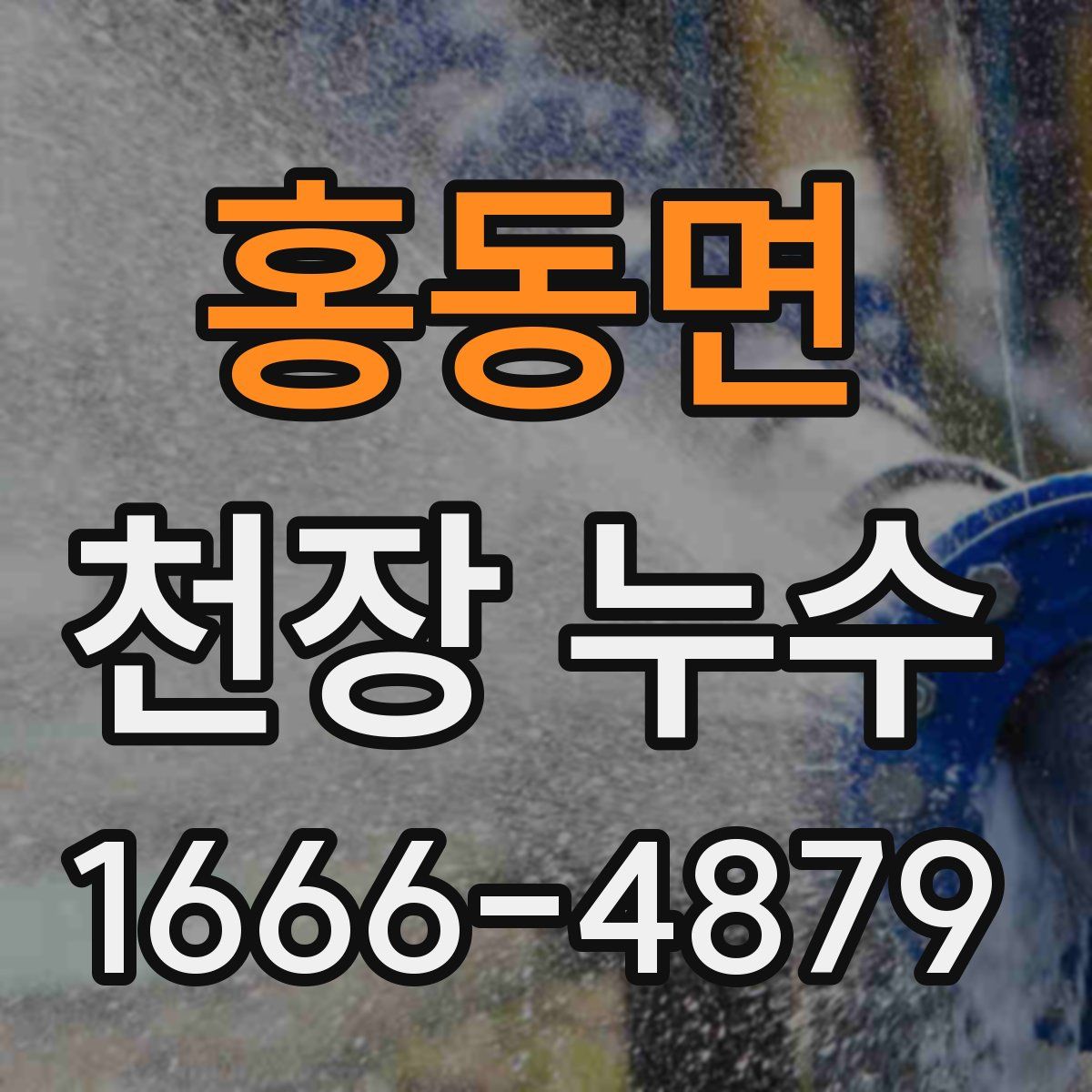홍동면 천장 누수