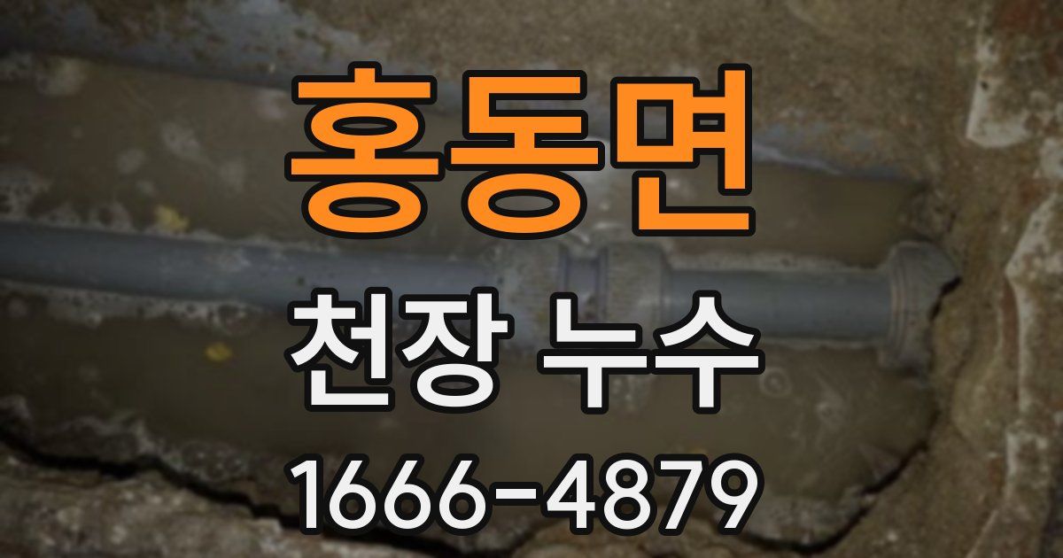홍동면 천장 누수